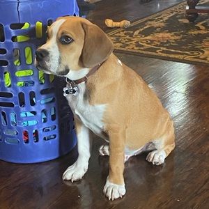 Meet your Posher, Kevin